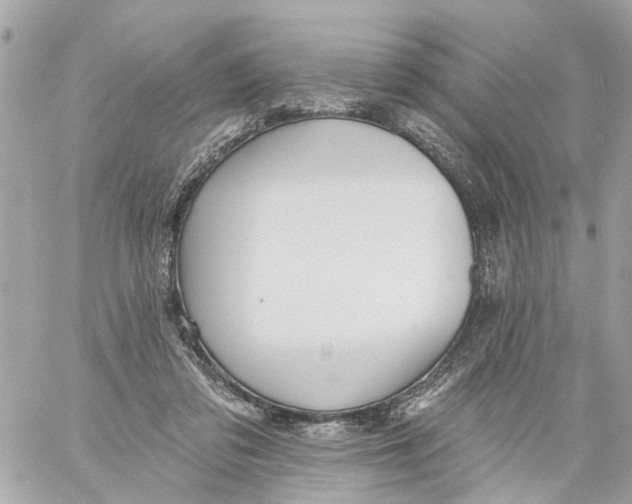 X0000059080309200511041828