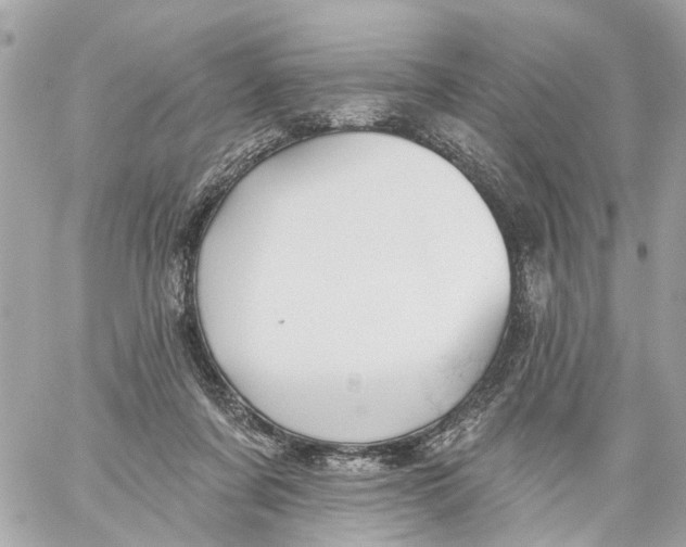 X0000059080311200511041828