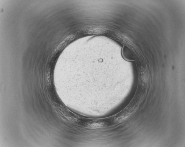 X0000059080312200511041828