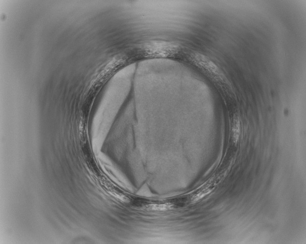 X0000059080314200511041828