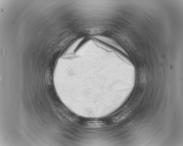 X0000059080316200511041828