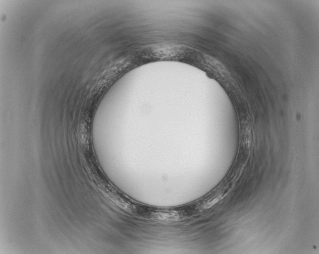 X0000059080317200511041828