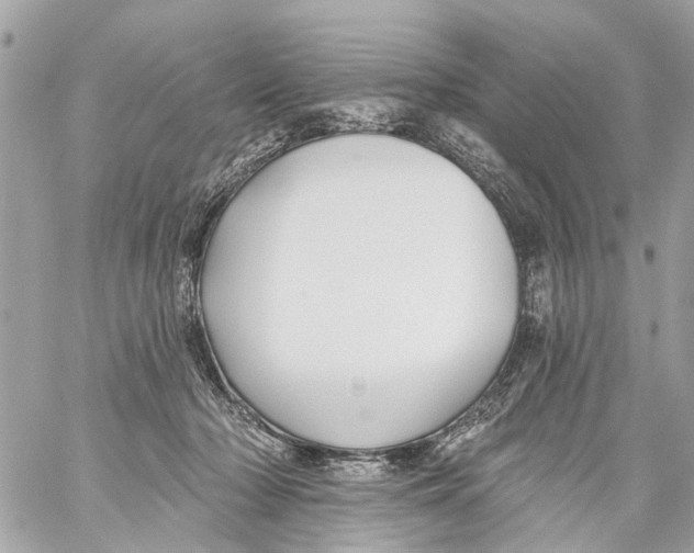 X0000059080318200511041828