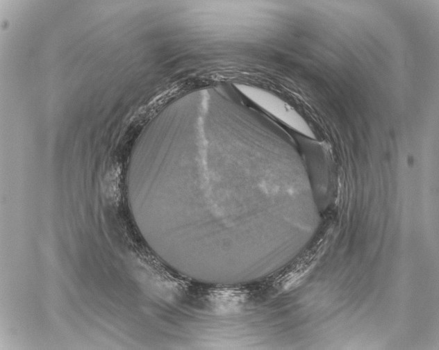 X0000059080319200511041828