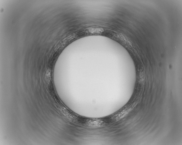 X0000059080321200511041828