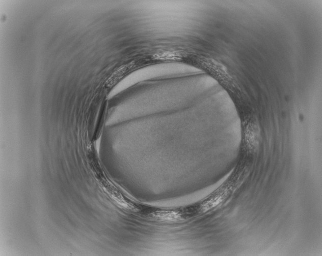 X0000059080322200511041828