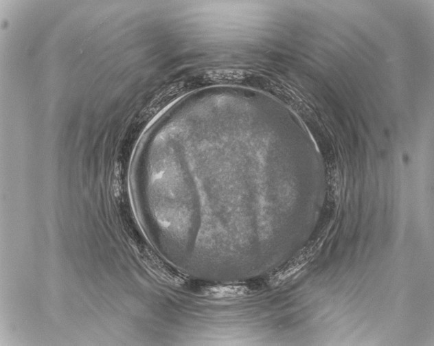 X0000059080323200511041828