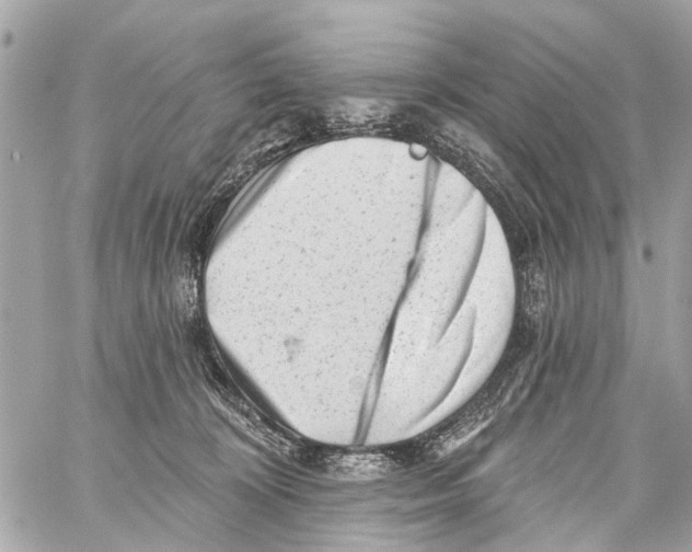 X0000059080324200511041828