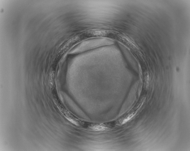 X0000059080325200511041828