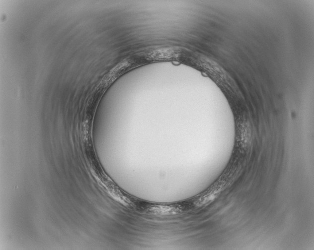 X0000059080326200511041828