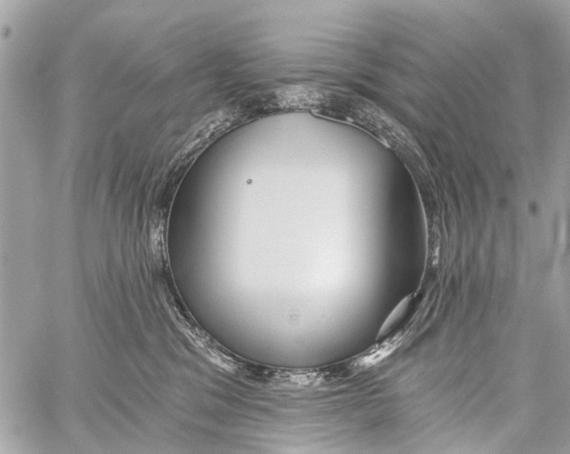 X0000059080329200511041828