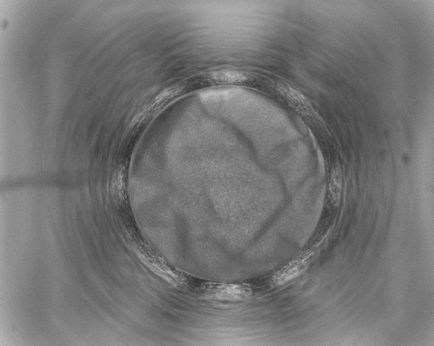 X0000059080330200511041828