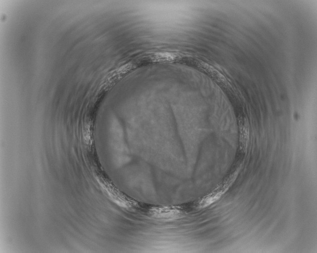 X0000059080331200511041828