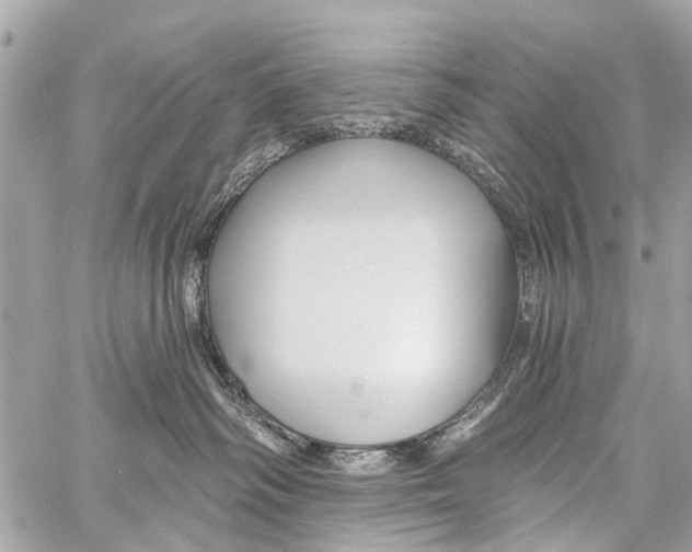 X0000059080334200511041828