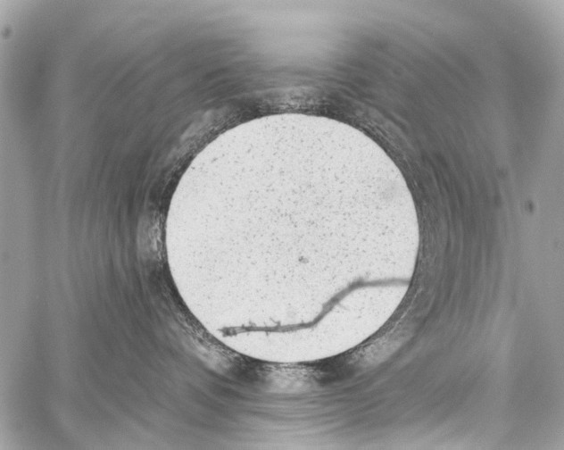 X0000059080336200511041828