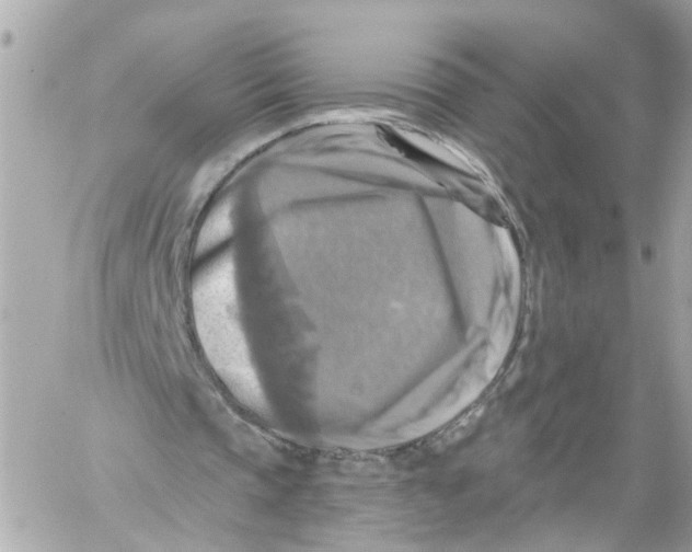 X0000059080337200511041827