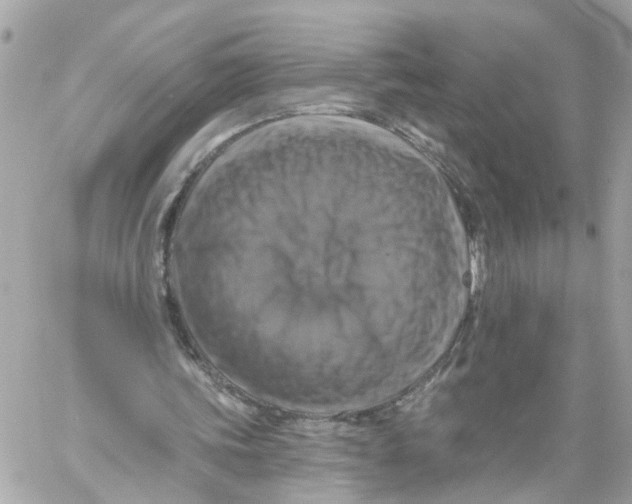 X0000059080339200511041827