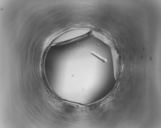 X0000059080340200511041827