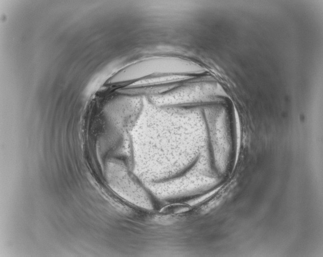 X0000059080341200511041827