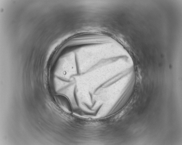 X0000059080342200511041827