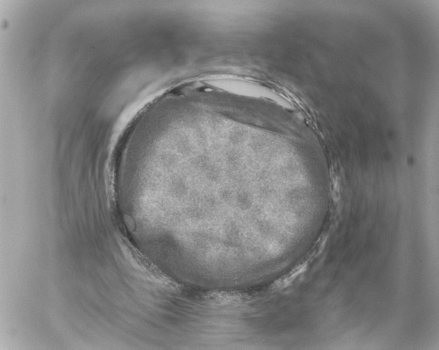 X0000059080343200511041827