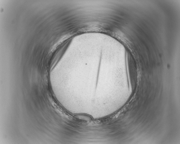 X0000059080345200511041827