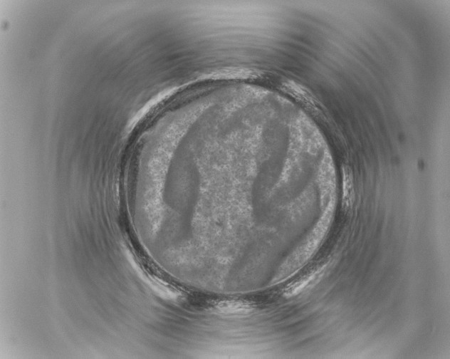 X0000059080348200511041827