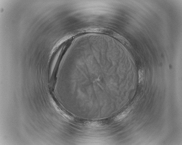 X0000059080349200511041827