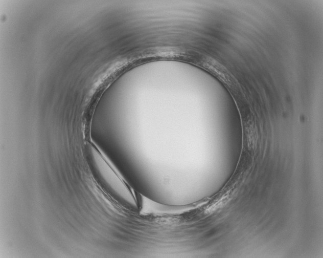 X0000059080350200511041827