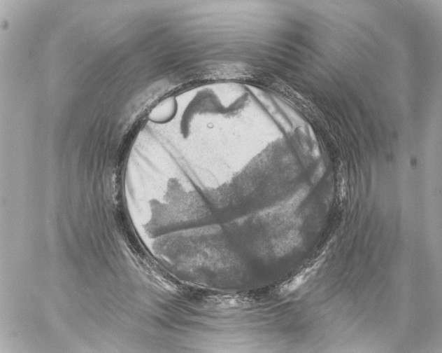 X0000059080351200511041827