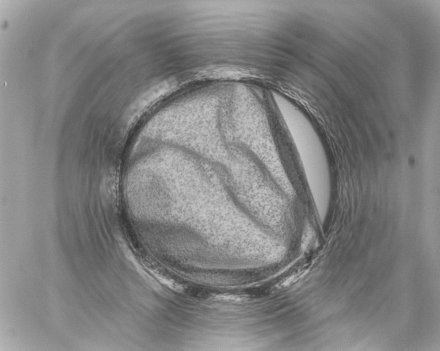 X0000059080352200511041827