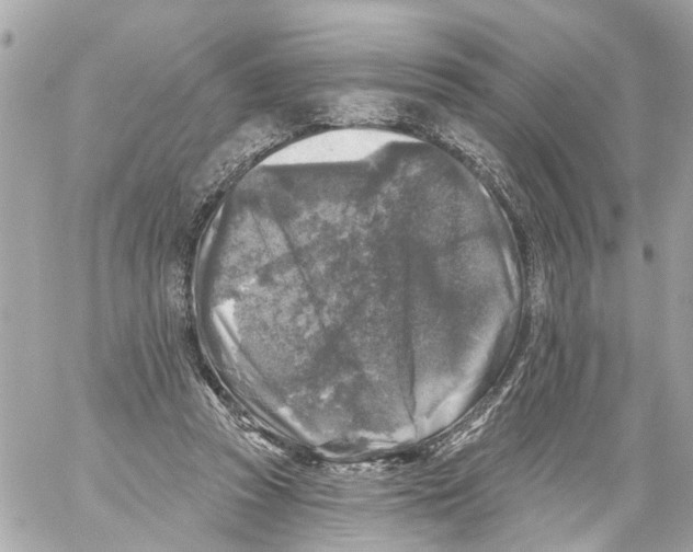 X0000059080353200511041827