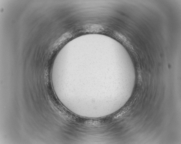 X0000059080354200511041827