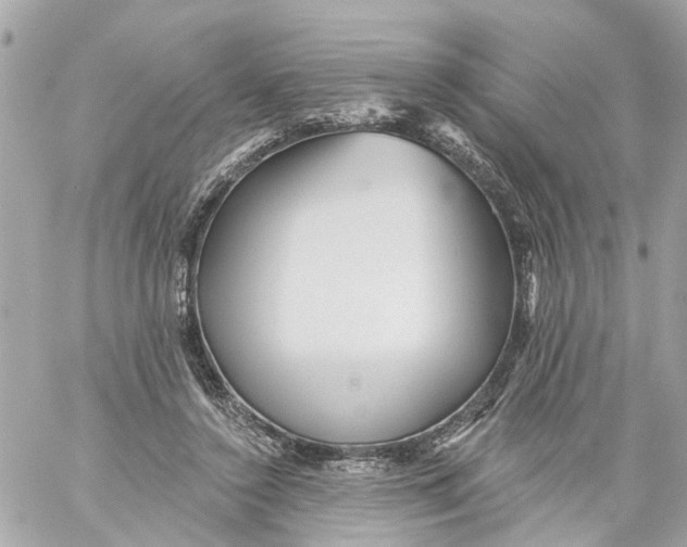 X0000059080356200511041827