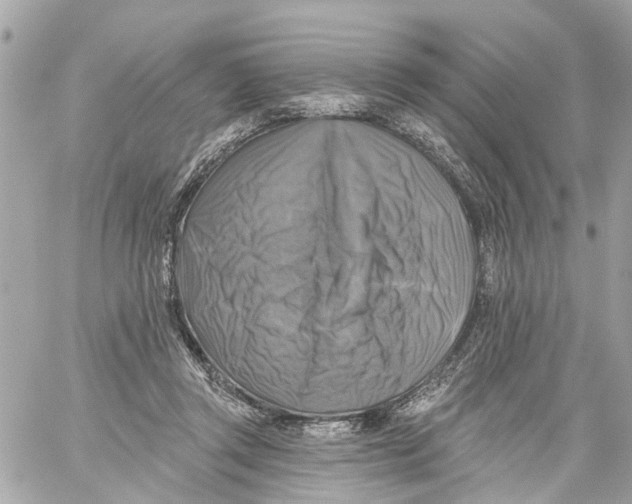 X0000059080357200511041827