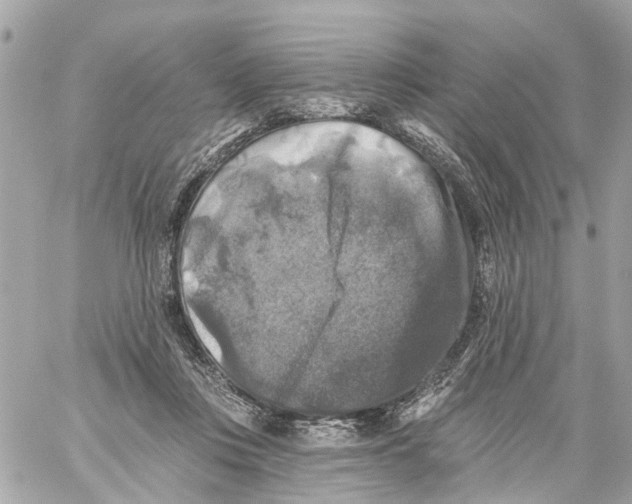 X0000059080359200511041827