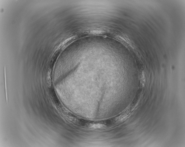 X0000059080360200511041827