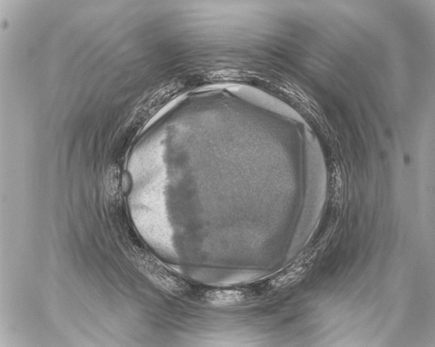 X0000059080361200511041827