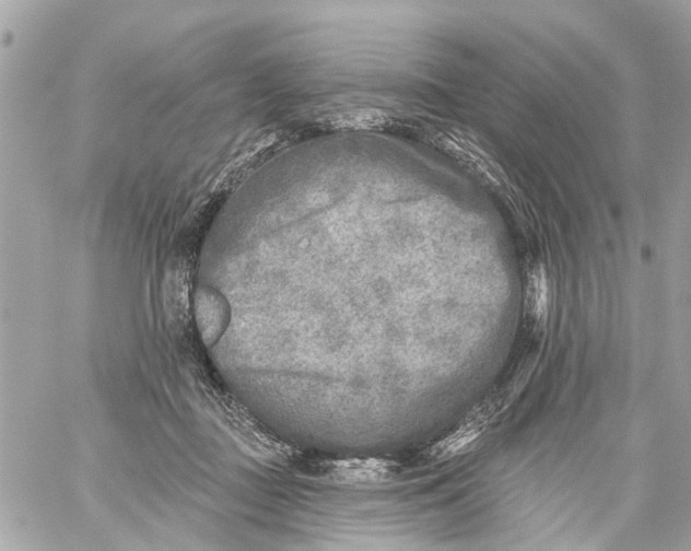 X0000059080363200511041827