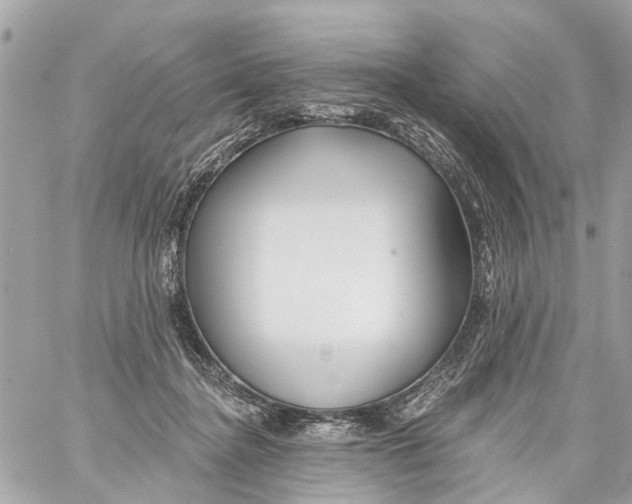 X0000059080364200511041827