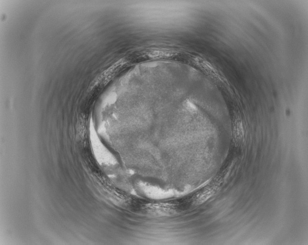 X0000059080367200511041827