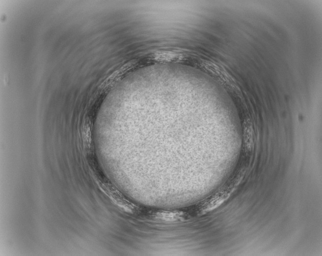 X0000059080375200511041827