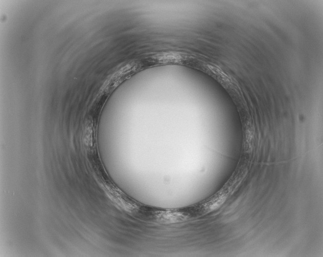 X0000059080379200511041827