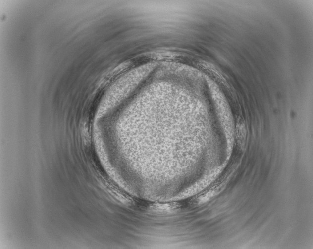 X0000059080381200511041827