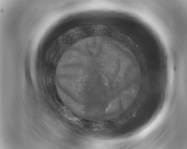 X0000059080382200511041828