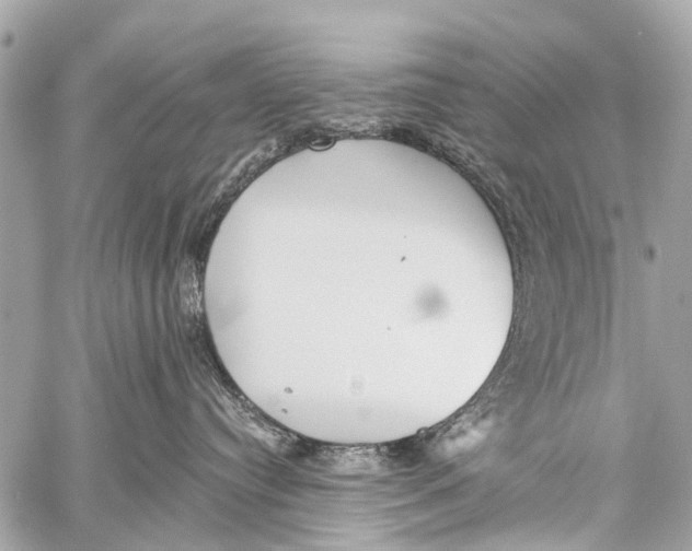 X0000059080384200511041828