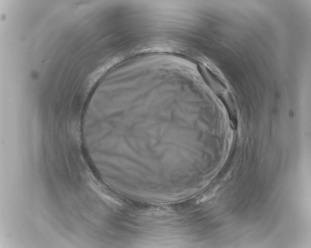 X0000059080386200511041827