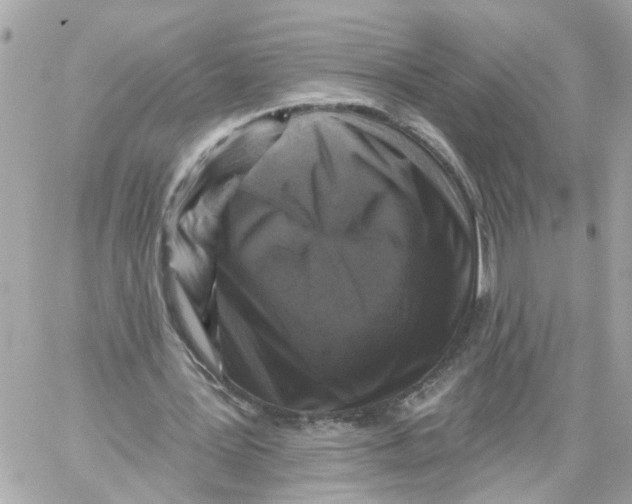 X0000059080387200511041827