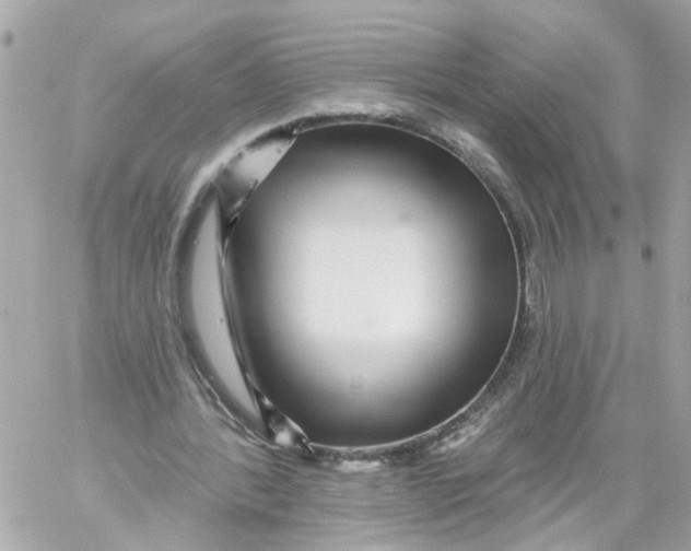 X0000059080388200511041827