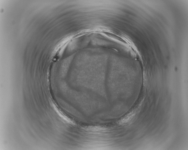 X0000059080389200511041827